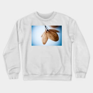 quiescent Crewneck Sweatshirt